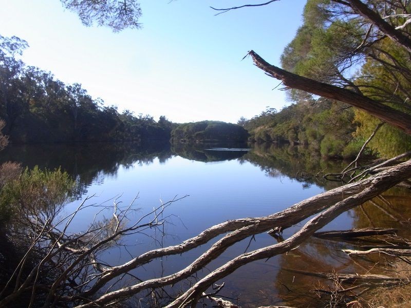 PL1 Ivor Jones Drive, Wonboyn NSW 2551