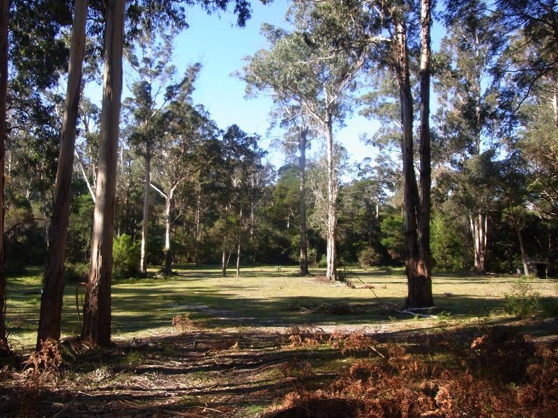 PL1 Ivor Jones Drive, Wonboyn NSW 2551