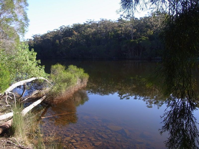 PL1 Ivor Jones Drive, Wonboyn NSW 2551