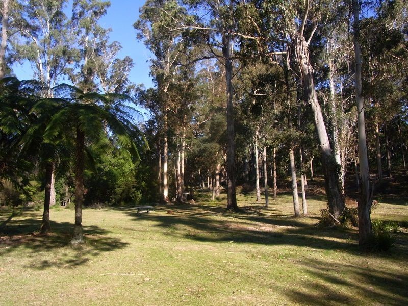 PL1 Ivor Jones Drive, Wonboyn NSW 2551