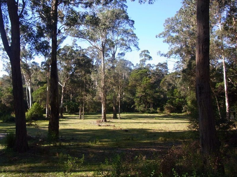 PL1 Ivor Jones Drive, Wonboyn NSW 2551
