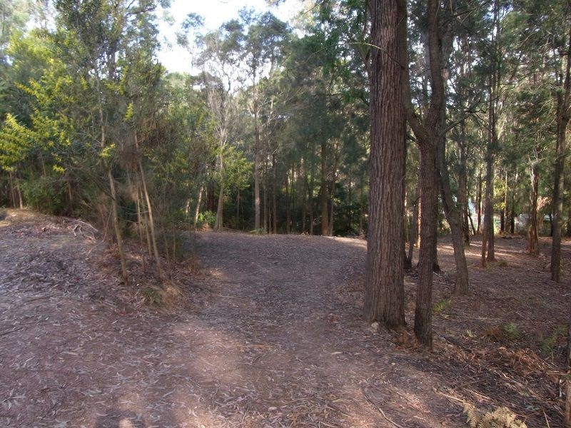 18 Acacia Avenue, Wonboyn NSW 2551