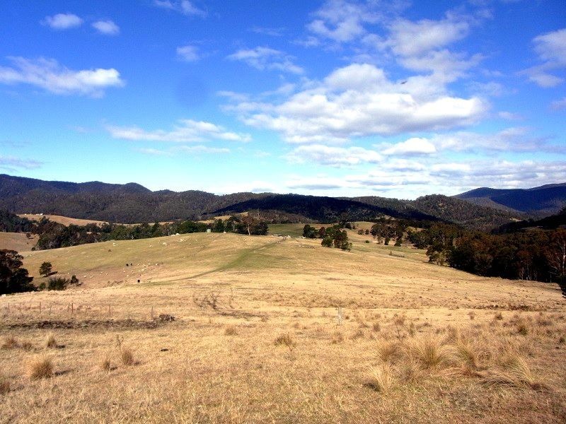 398 New Buildings Road, Wyndham NSW 2550