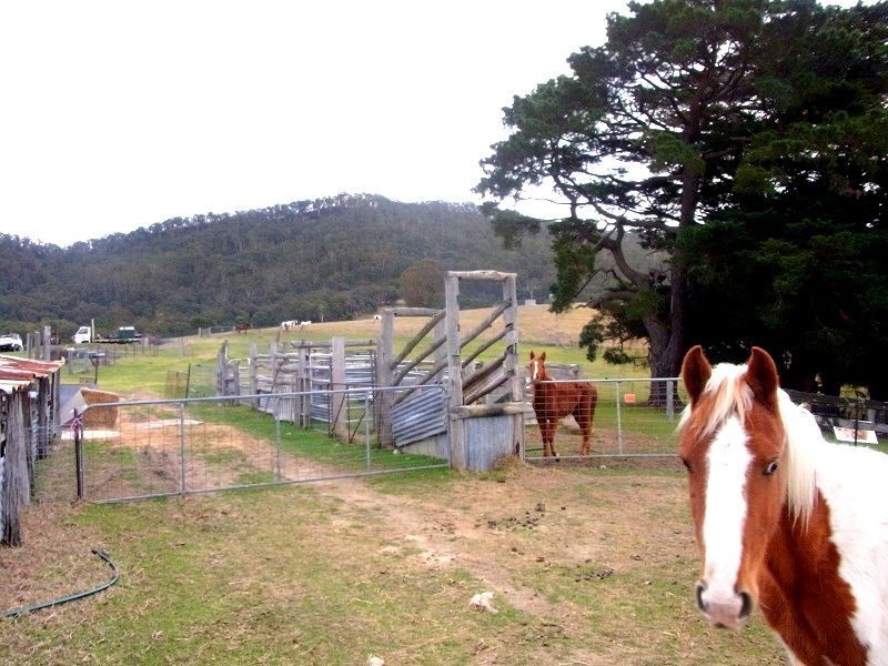 398 New Buildings Road, Wyndham NSW 2550