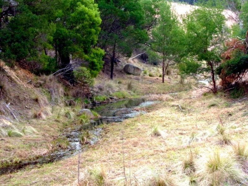 398 New Buildings Road, Wyndham NSW 2550