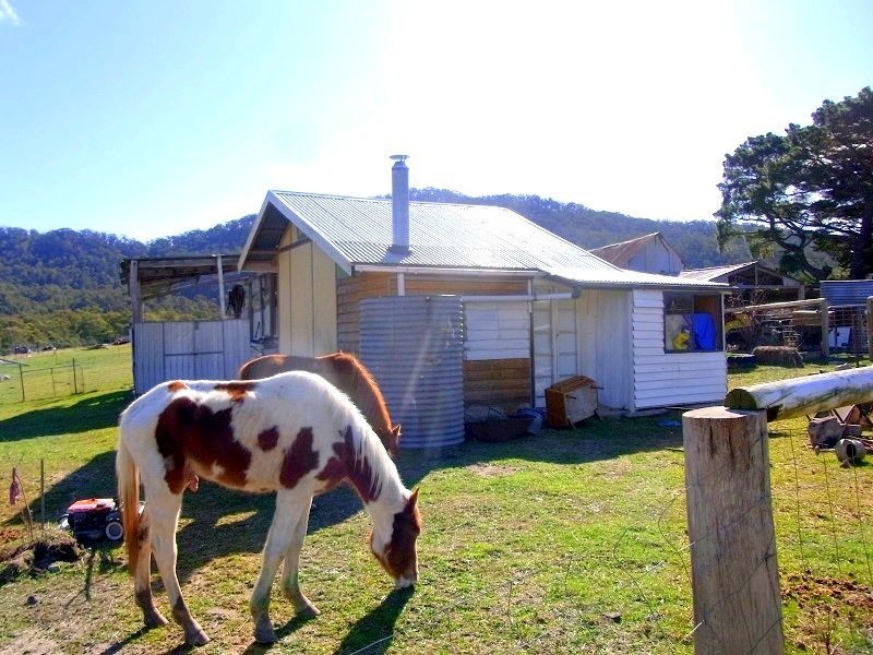 398 New Buildings Road, Wyndham NSW 2550