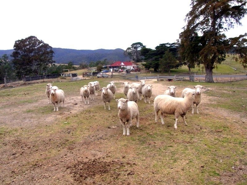 398 New Buildings Road, Wyndham NSW 2550