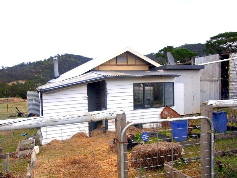 398 New Buildings Road, Wyndham NSW 2550