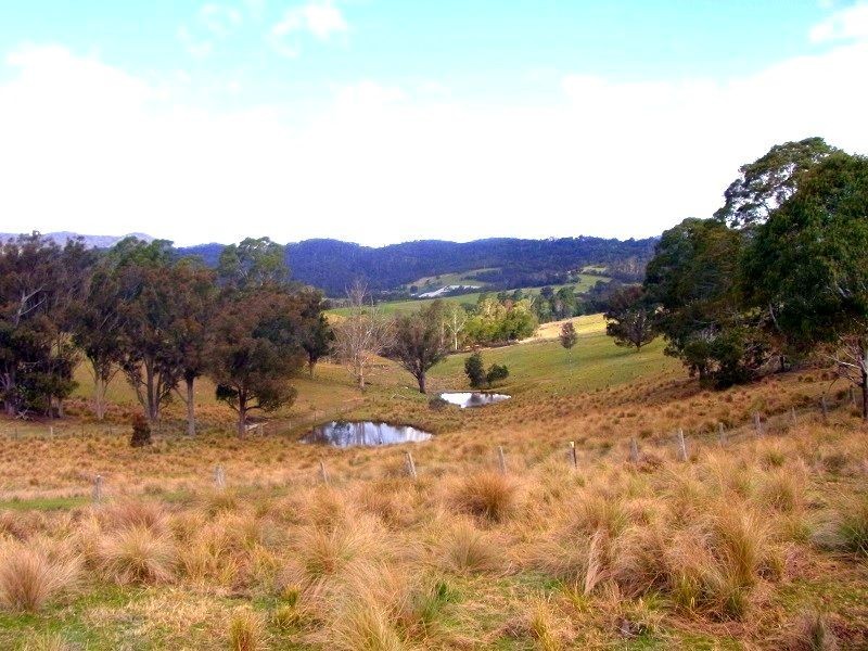 468 New Buildings Road, Wyndham NSW 2550