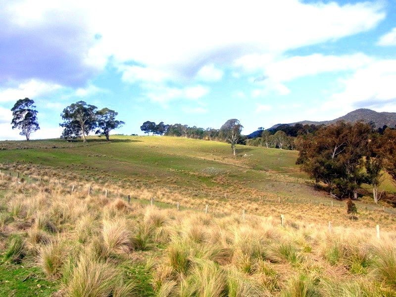 468 New Buildings Road, Wyndham NSW 2550