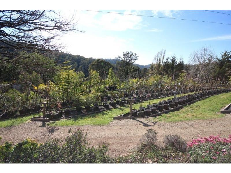 3860 Princes Highway, Pambula NSW 2549