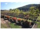3860 Princes Highway, Pambula NSW 2549