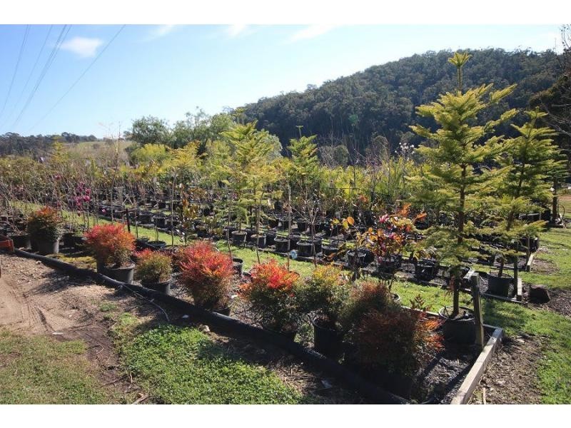 3860 Princes Highway, Pambula NSW 2549