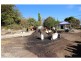 3860 Princes Highway, Pambula NSW 2549