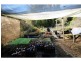 3860 Princes Highway, Pambula NSW 2549