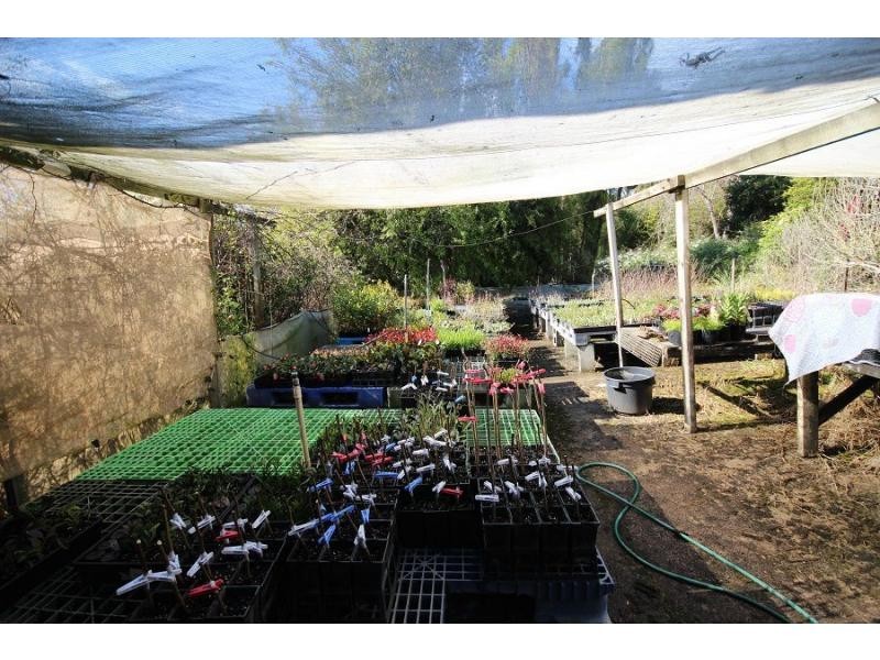 3860 Princes Highway, Pambula NSW 2549