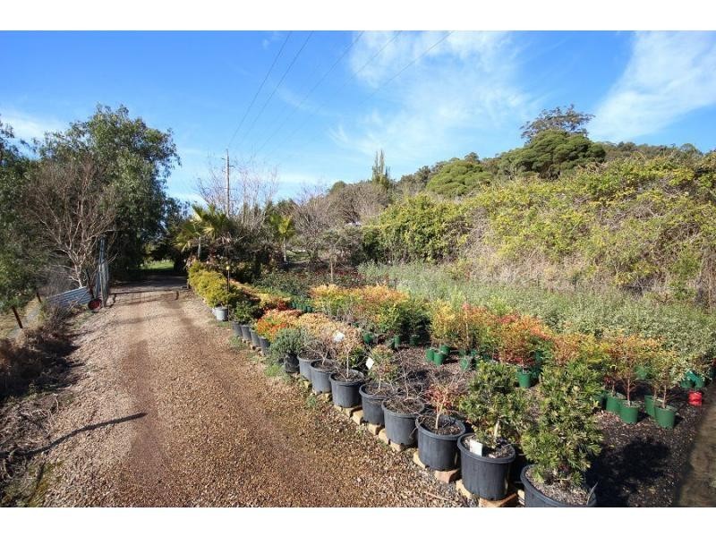 3860 Princes Highway, Pambula NSW 2549