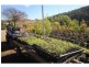 3860 Princes Highway, Pambula NSW 2549