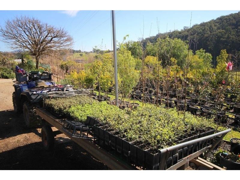 3860 Princes Highway, Pambula NSW 2549