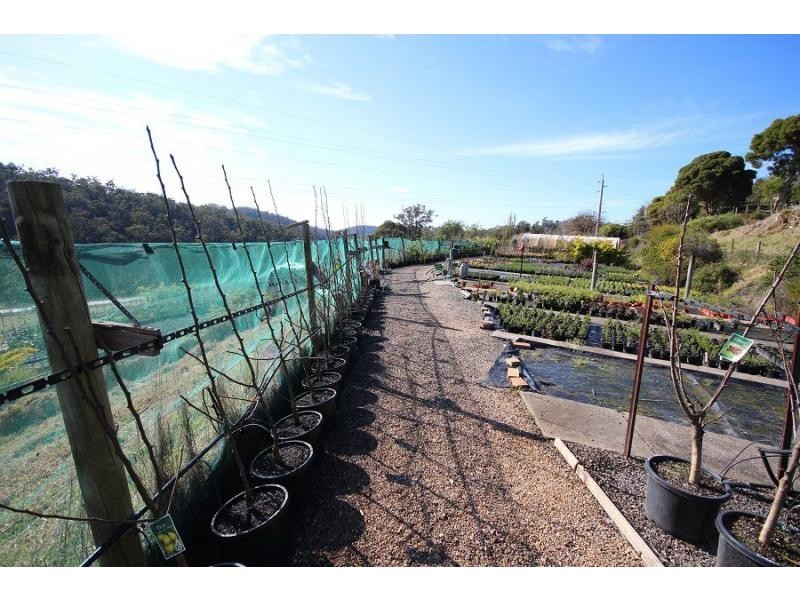 3860 Princes Highway, Pambula NSW 2549