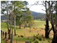 468 New Buildings Road, Wyndham NSW 2550