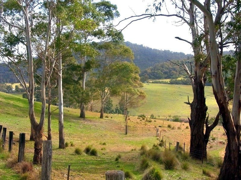 468 New Buildings Road, Wyndham NSW 2550