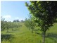 116 Log Farm Road, Towamba NSW 2550