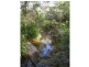 116 Log Farm Road, Towamba NSW 2550