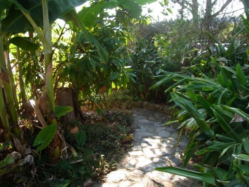 12 King Street, South Pambula NSW 2549