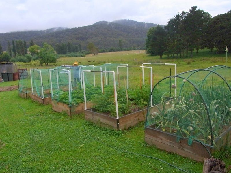 15-17 Towamba Street, Towamba NSW 2550