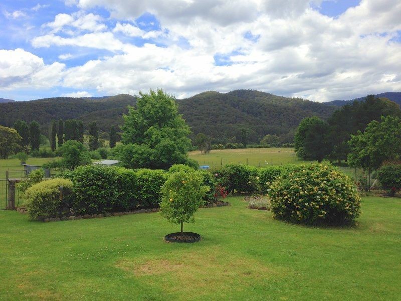 15-17 Towamba Street, Towamba NSW 2550