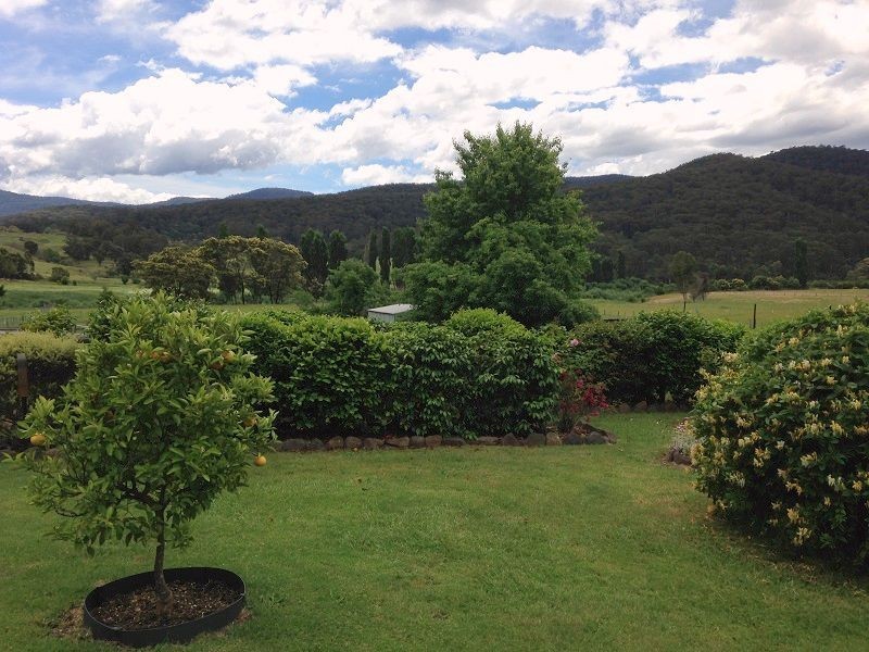 15-17 Towamba Street, Towamba NSW 2550