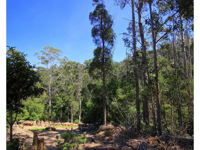 3 Bellbird Court, Eden NSW 2551