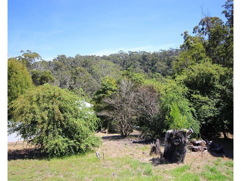 3 Bellbird Court, Eden NSW 2551