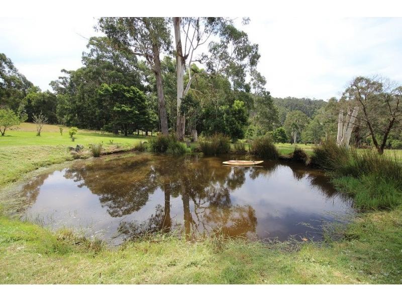 903 Nethercote Road, Nethercote NSW 2549