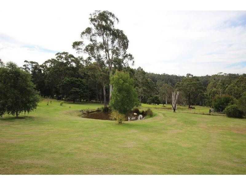 903 Nethercote Road, Nethercote NSW 2549