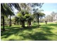 313 Back Creek Road, Lochiel NSW 2549