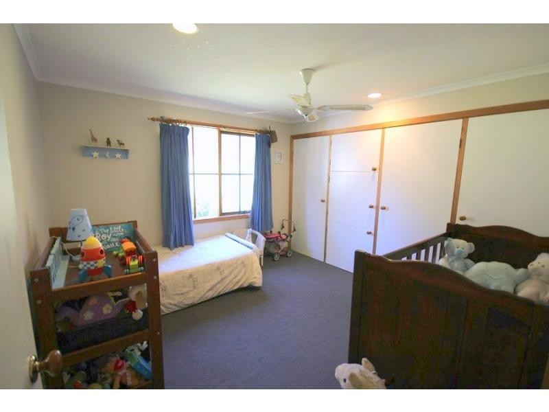 313 Back Creek Road, Lochiel NSW 2549