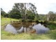 903 Nethercote Road, Nethercote NSW 2549