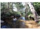 916 Nethercote Road, Nethercote NSW 2549