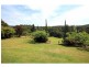 916 Nethercote Road, Nethercote NSW 2549