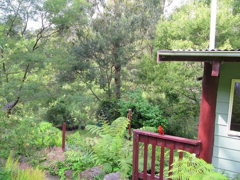 1414 Mt Darragh Road, Lochiel NSW 2549