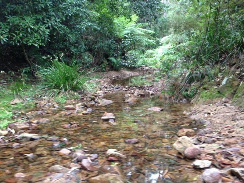 1414 Mt Darragh Road, Lochiel NSW 2549
