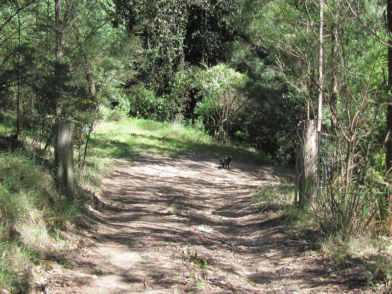 1414 Mt Darragh Road, Lochiel NSW 2549