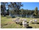 150 Jim McMahon Drive, Kiah NSW 2551