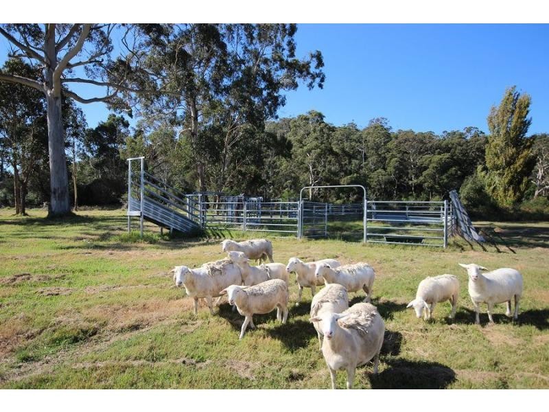 150 Jim McMahon Drive, Kiah NSW 2551