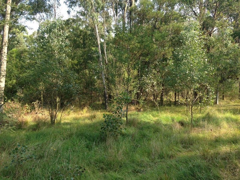 L5 Nangutta Street, Towamba NSW 2550