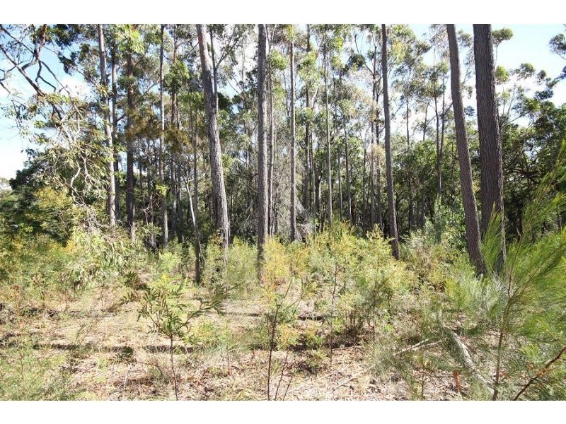 L14 Acacia Avenue, Wonboyn NSW 2551