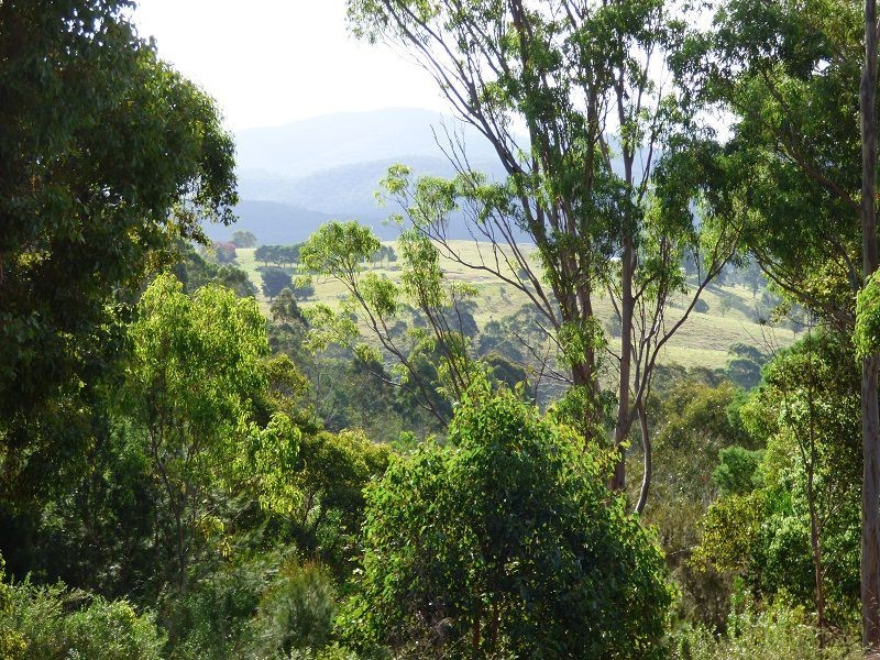 9 Bindaree Road, Lochiel NSW 2549