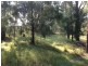 L5 Nangutta Street, Towamba NSW 2550